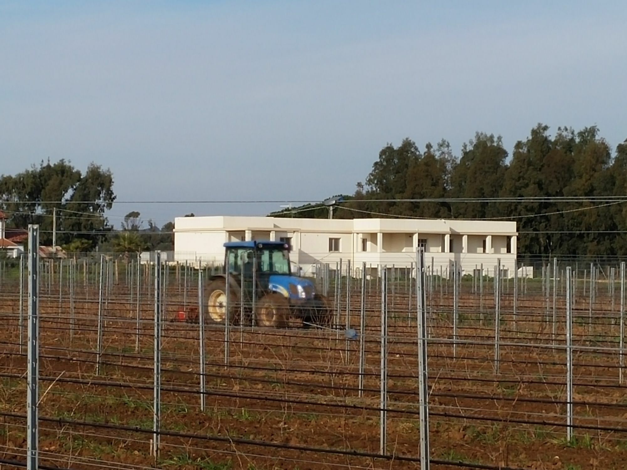 Maris Villa Alghero Exterior foto